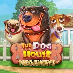 The Dog House Megaways game at Joka Casino for Australia players