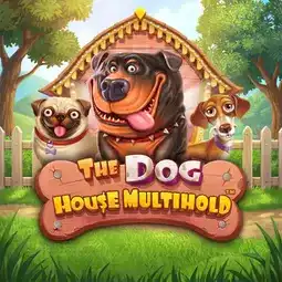 The Dog House Multihold game at Joka Casino for Australia players